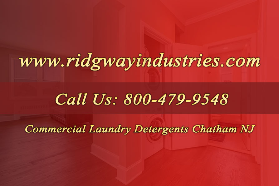 Commercial Laundry Detergents Chatham NJ