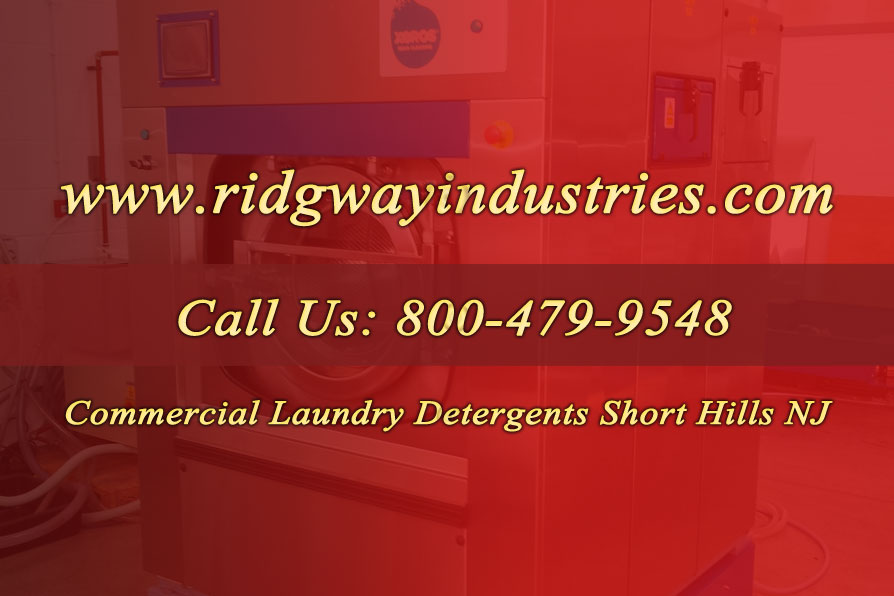 Commercial Laundry Detergents Short Hills NJ